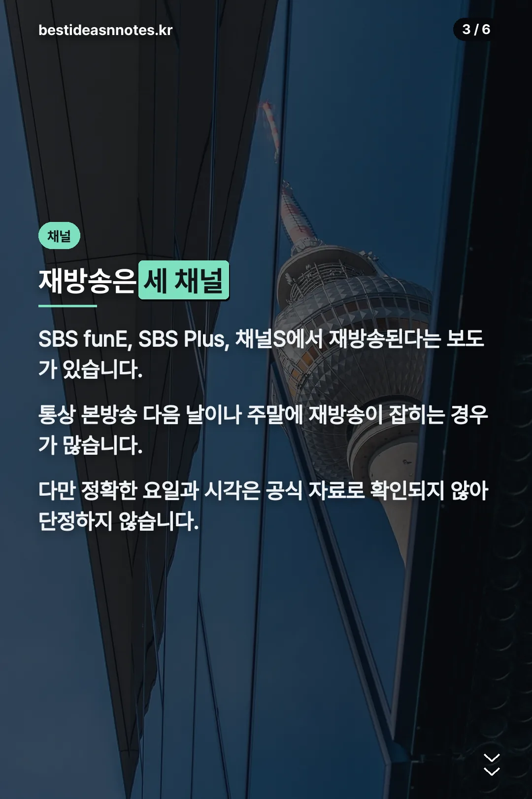 재방송 채널 세 곳