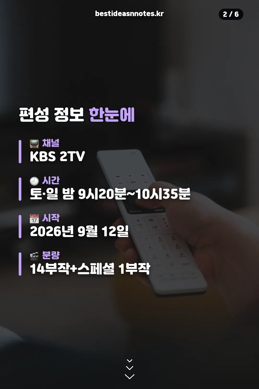 편성 정보 한눈에