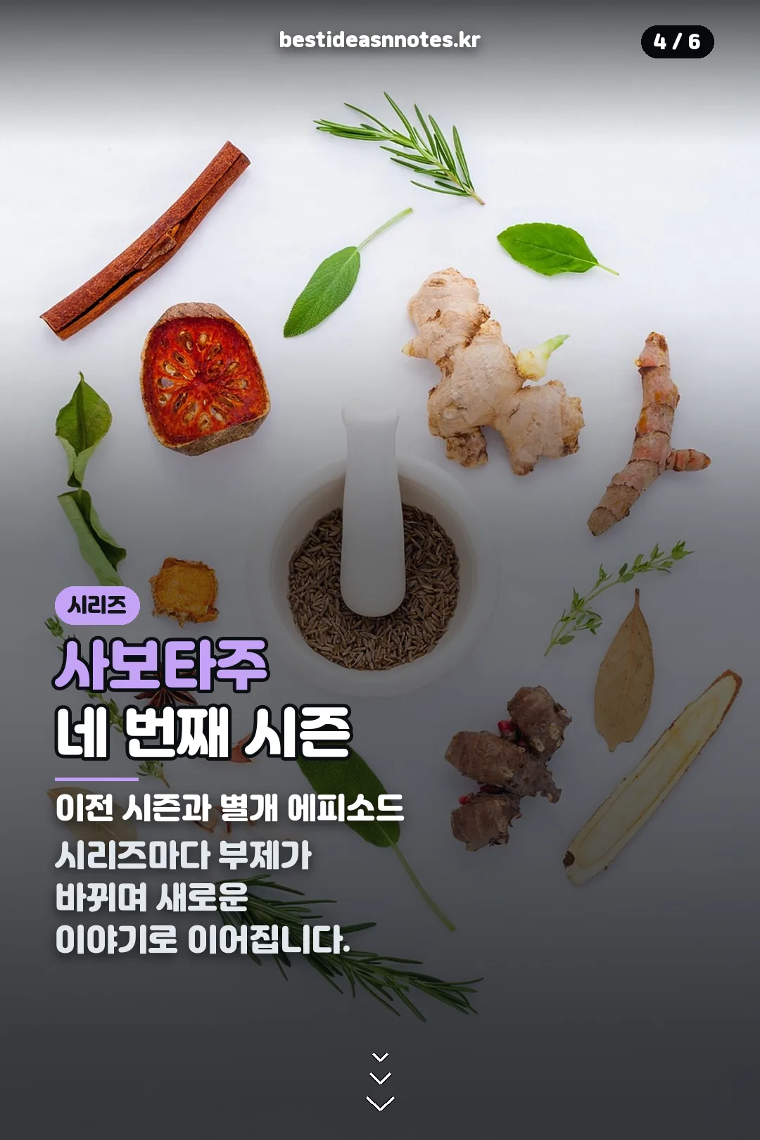 사보타주 시즌 소개
