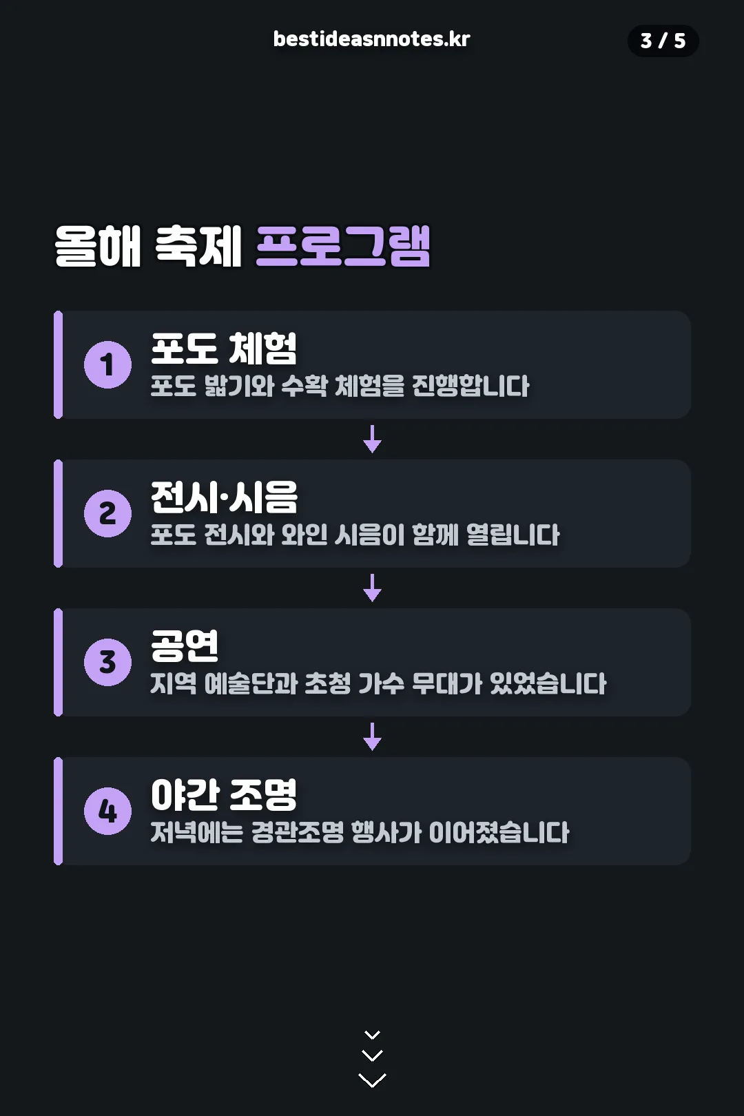 올해 축제 프로그램
