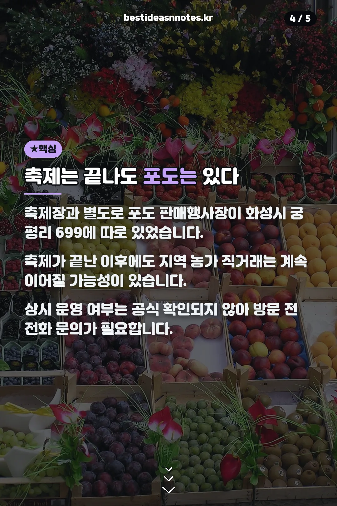 축제 이후 포도 구매