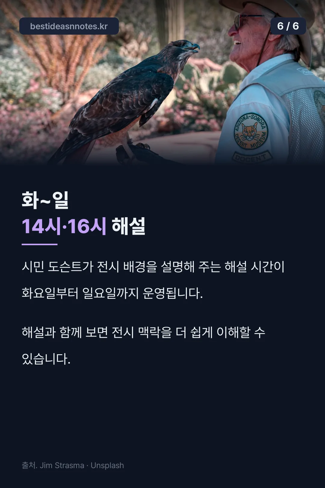 도슨트 해설 시간